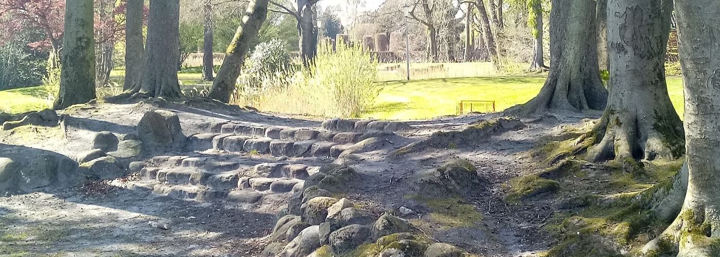 tree-lined pathways through a city park