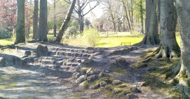 tree-lined pathways through a city park