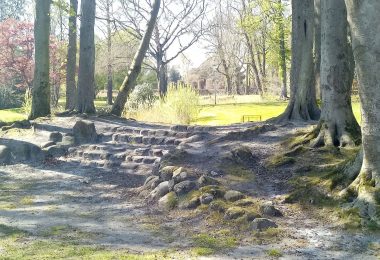 tree-lined pathways through a city park