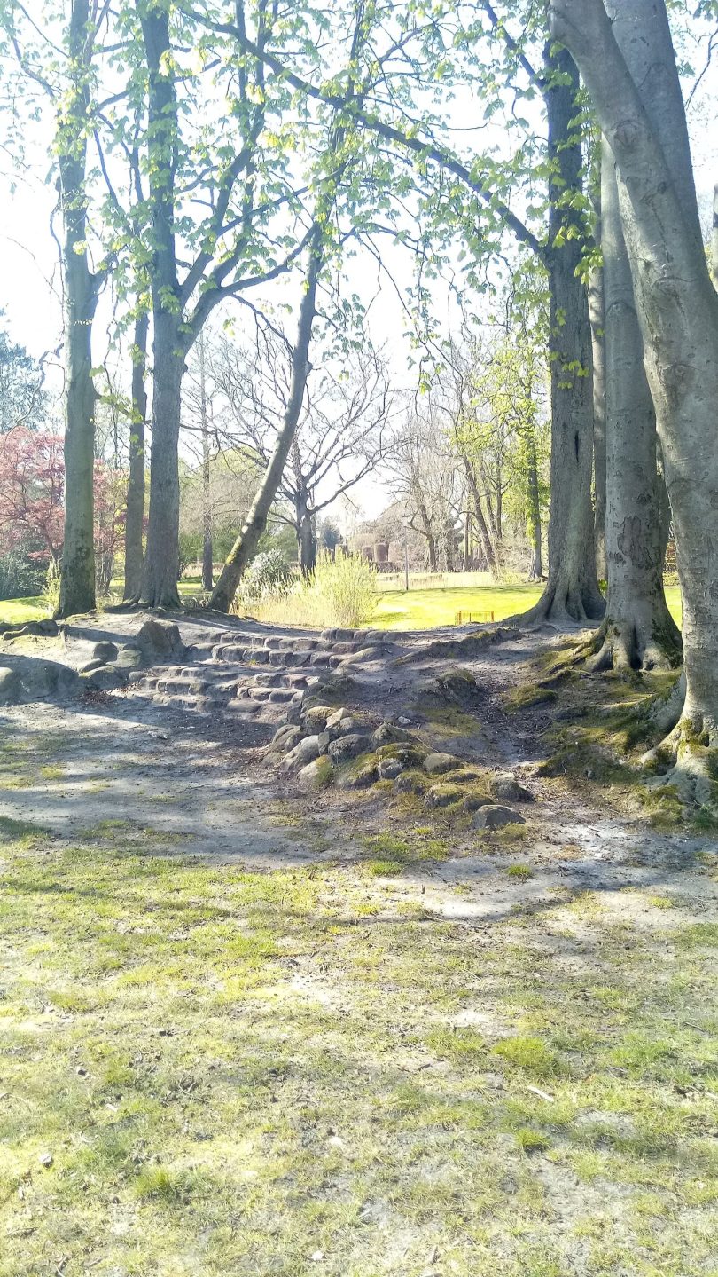 tree-lined pathways through a city park